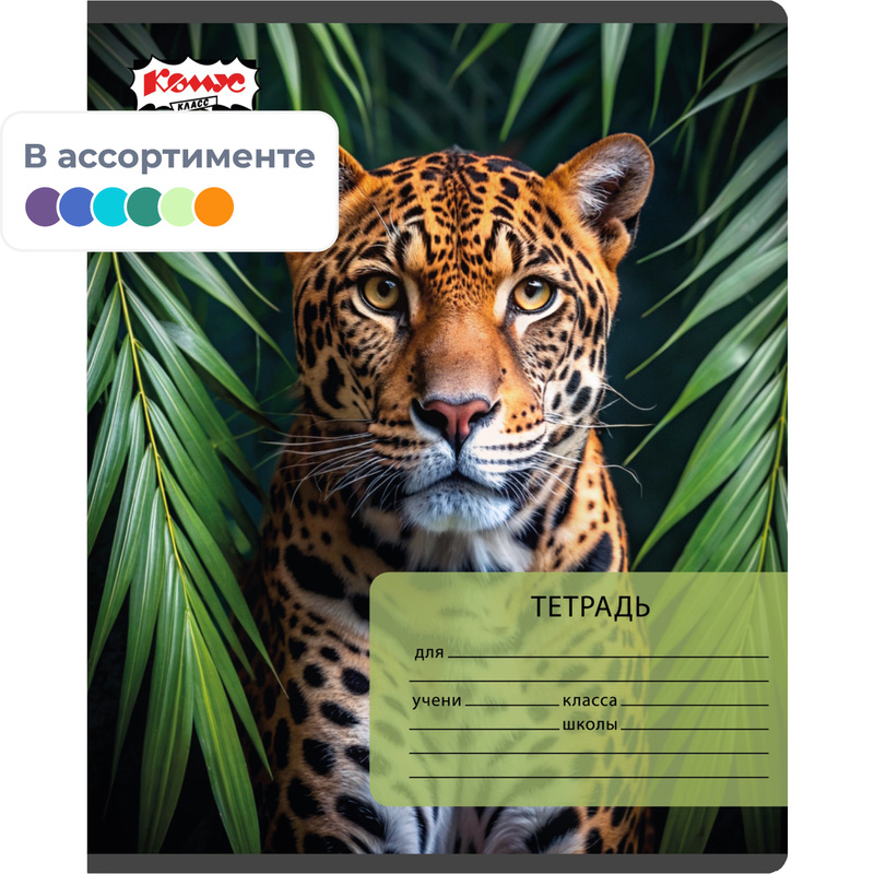 Изображение товара Тетрадь школьная Комус Класс Дикие животные А5 24 листов в клетку (ВД-лак)