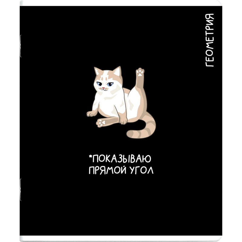 Изображение товара Тетрадь предметная по геометрии Феникс+ Коты мемы А5+ 48 листов в клетку TWIN лак Изображение товара Тетрадь предметная по геометрии Феникс+ Коты мемы А5+ 48 листов в клетку TWIN лак