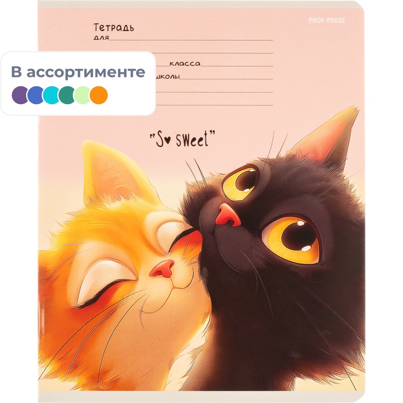 Изображение товара Тетрадь школьная Проф-пресс Кошачьи мордочки А5 12 листов в частую косую линейку Изображение товара Тетрадь школьная Проф-пресс Кошачьи мордочки А5 12 листов в частую косую линейку