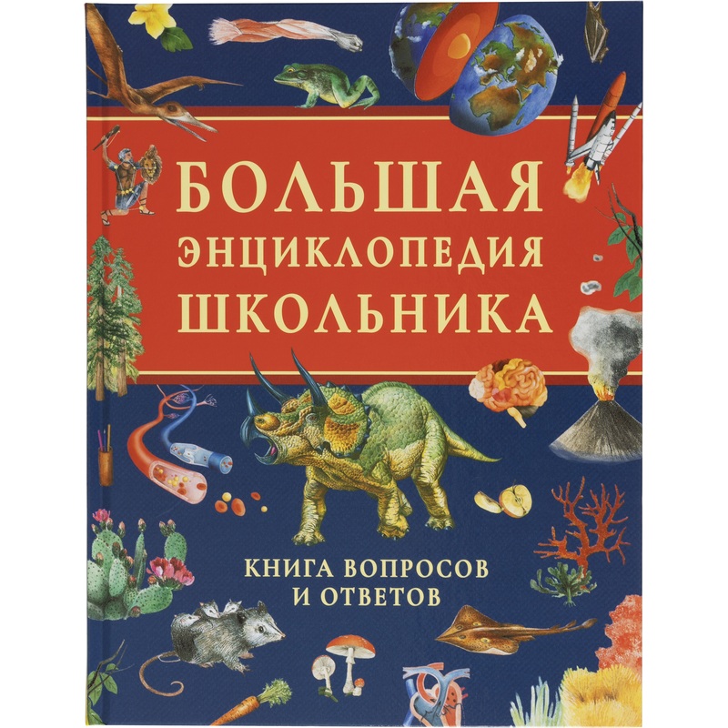 Изображение товара Энциклопедия Росмэн Книга вопросов и ответов для школьников