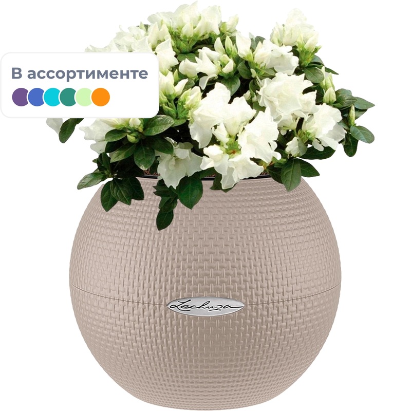 Изображение товара Декоративное азалия индика в кашпо с автополивом 25 см