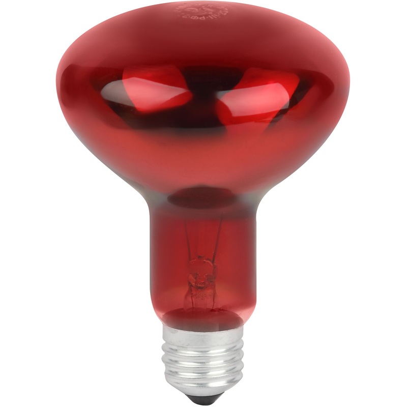 Изображение товара Инфракрасная лампа Эра ИКЗК 230-100 R95 для обогрева животных и растений 100 Вт