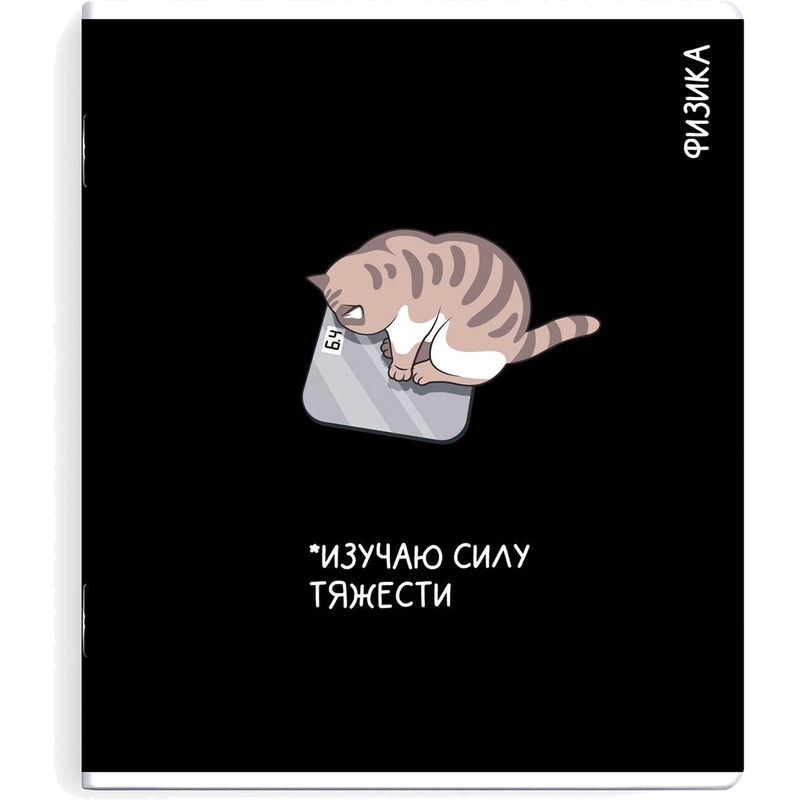 Изображение товара Тетрадь предметная по физике Феникс+ Коты мемы А5+ 48 листов в клетку TWIN лак