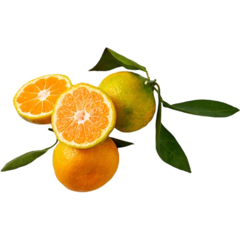 Изображение товара Мандарины с листочком из Китая 1 кг – свежие и вкусные фрукты