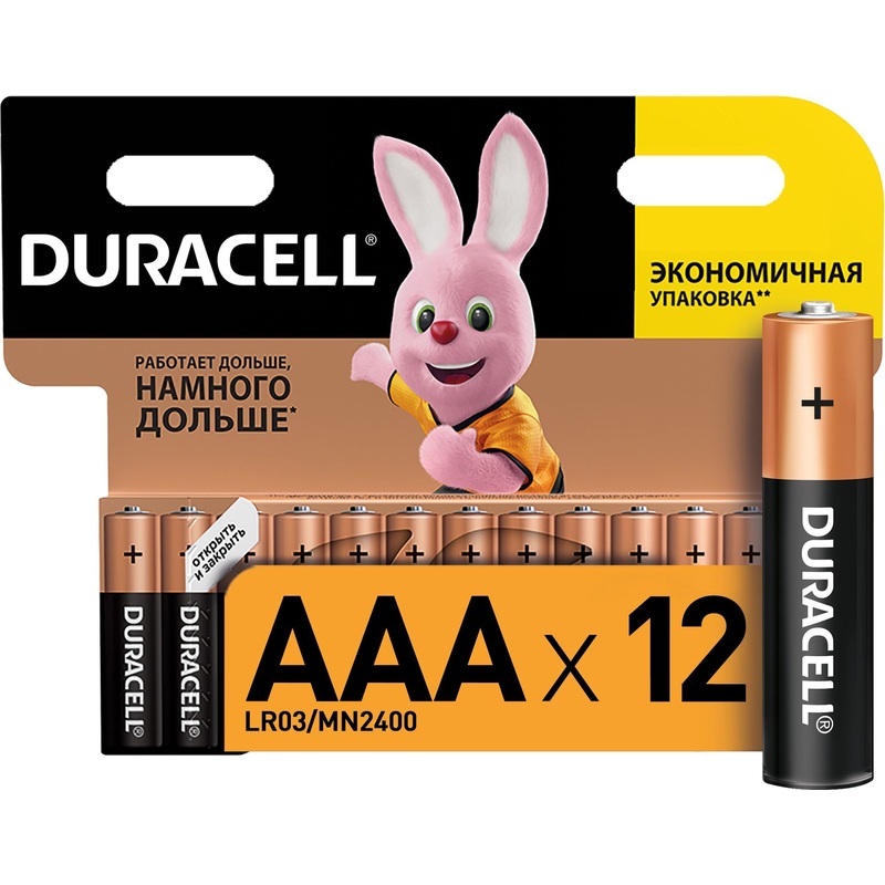 Изображение товара Батарейка AAA мизинчиковая Duracell Basic, 12 штук