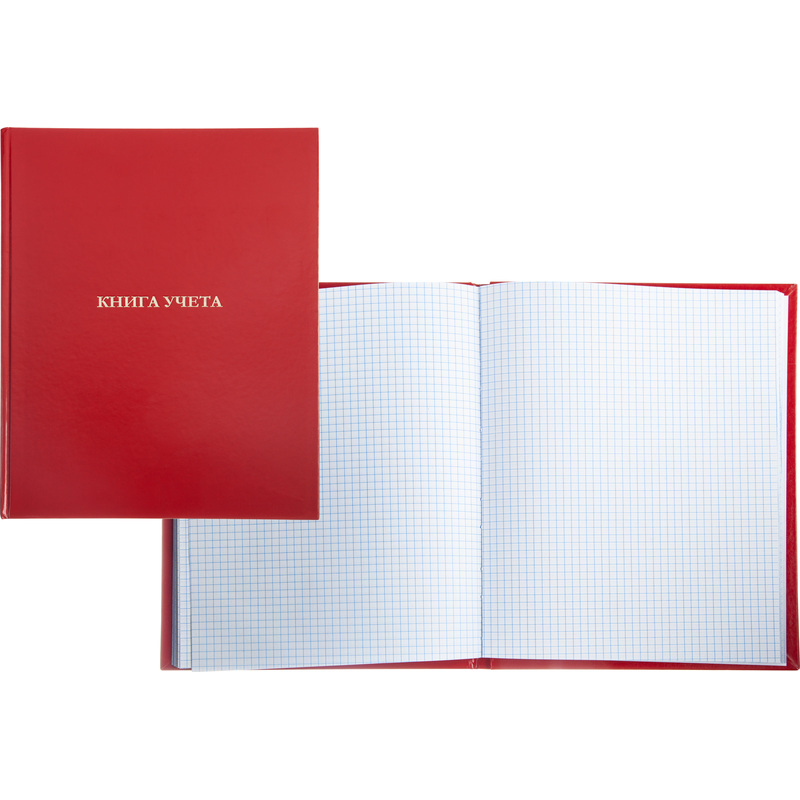 Изображение товара Книга учета 96 листов в клетку на сшивке Формат A4 Бумвинил Обложка Россия