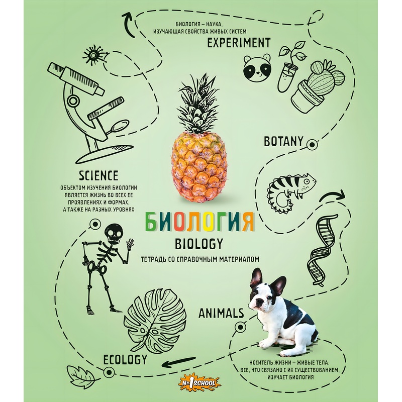 Изображение товара Тетрадь предметная по биологии Комус Класс (№1 School) Ребус А5 48 листов с рисунком в клетку, УФ-сплошной глянцевый лак