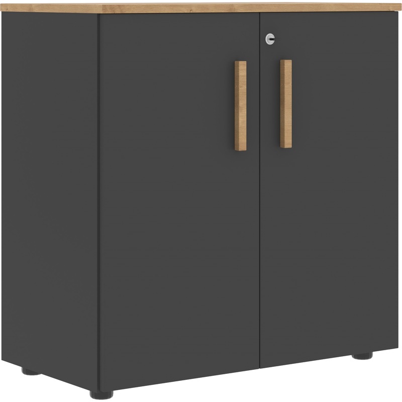 Изображение товара Шкаф для документов Forta FLC 80.1(Z) (чёрный графит, 802х429х818 мм)