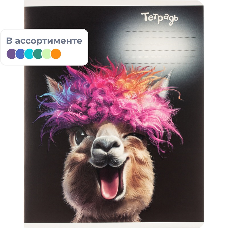 Изображение товара Тетрадь школьная Феникс+ Забавные животные А5+ 18 листов в линейку УФ-выборочный глянцевый лак