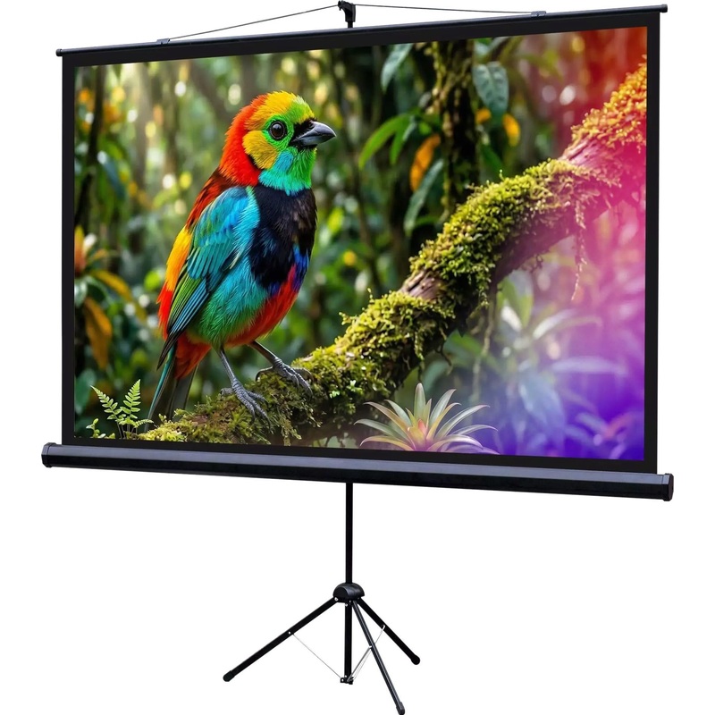 Изображение товара Экран для проектора Lumien Eco View 88 194x109 (LEV-100114)