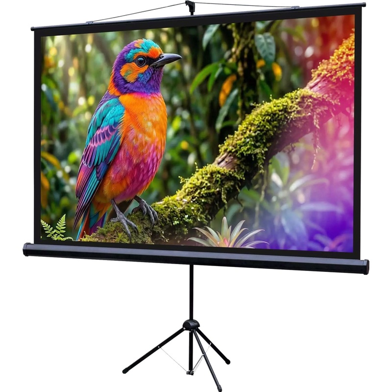 Изображение товара Экран для проектора Lumien Eco View 100 221x124 (LEV-100115) Изображение товара Экран для проектора Lumien Eco View 100 221x124 (LEV-100115)