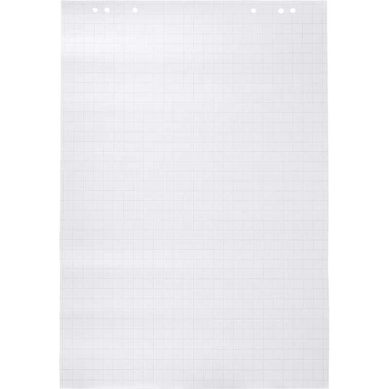 Изображение товара Бумага для флипчартов Выбор есть 67.5х98 см белая 20 листов в клетку, белизна 92%, плотность 80 г/кв.м