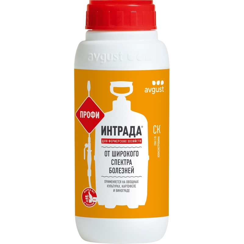 Изображение товара Средство Avgust Интрада для защиты растений 500 мл