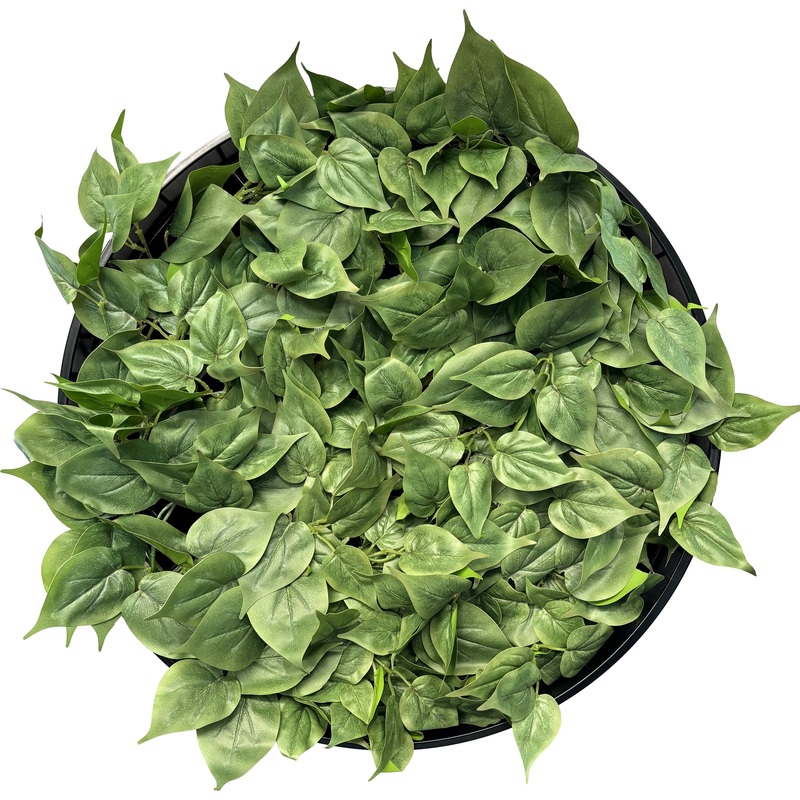 Изображение товара Композицией Сетка круглая 2 d 600 мм APC-20018/1 - искусственные растения для интерьера в современн