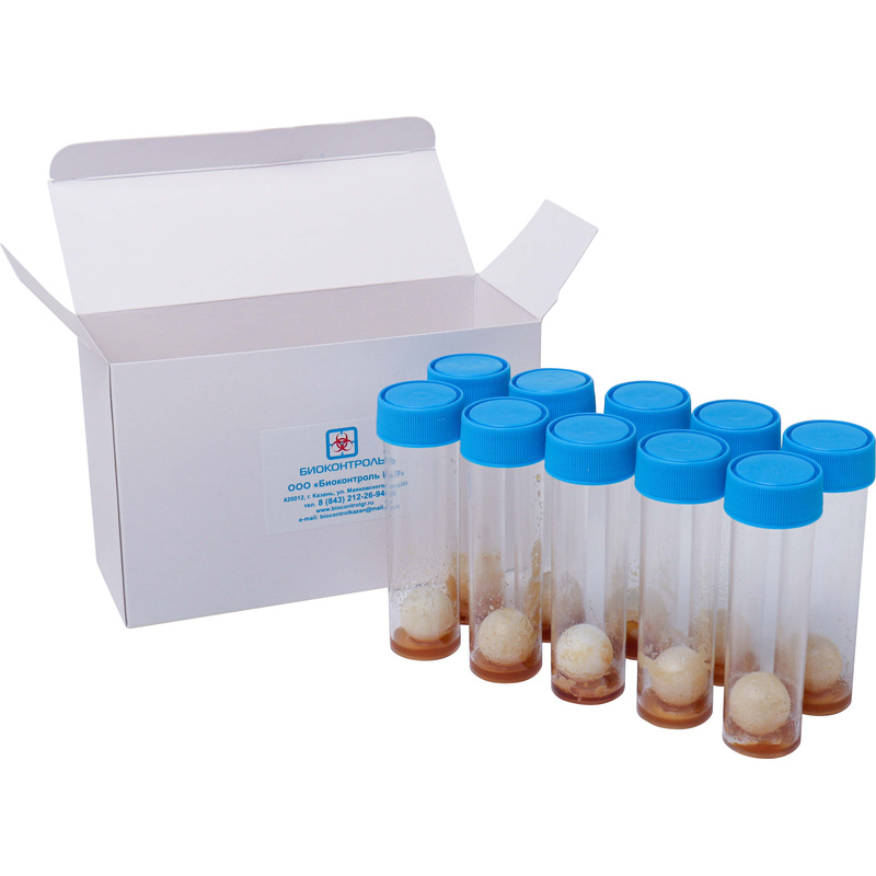 Изображение товара Экспресс-тест Биоконтроль слизеобразующие бактерии 10 штук в упаковке