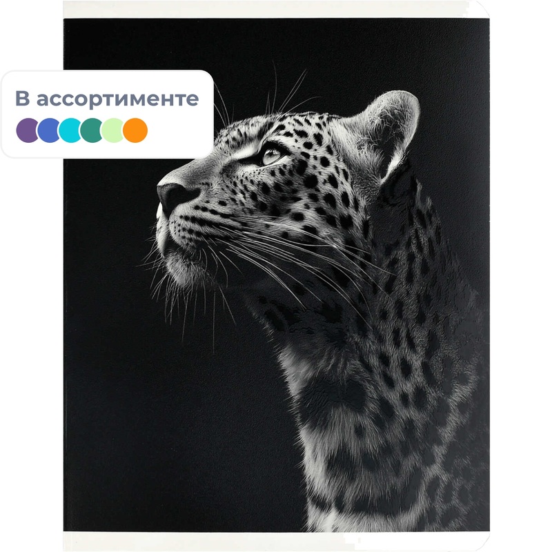 Изображение товара Тетрадь общая Феникс+ Монохромный леопард 48 листов в клетку на скрепках (TWIN лак)