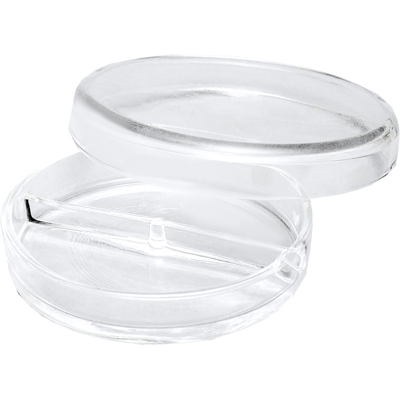 Изображение товара Чашка Петри стекло 100x20 мм (12 штук в упаковке)