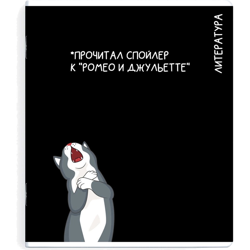 Изображение товара Литературная тетрадь Феникс+ Коты мемы А5+ 48 листов с линией Изображение товара Литературная тетрадь Феникс+ Коты мемы А5+ 48 листов с линией