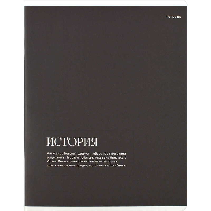 Изображение товара Тетрадь предметная по истории Феникс+ Интересные факты А5+ 48 листов коричневая в клетку УФ-выборочный глянцевый лак