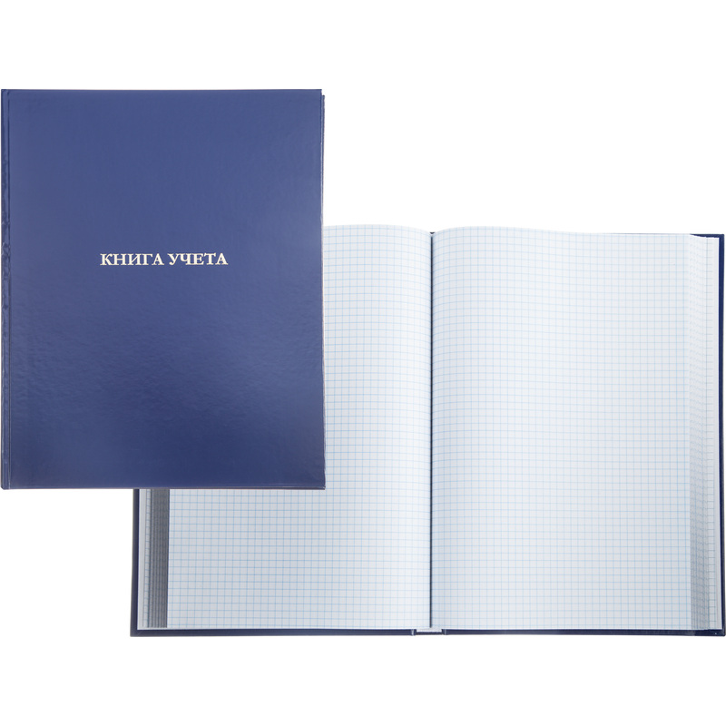 Изображение товара Книга учета 96 листов 210x265 мм в клетку на сшивке офсетная обложка голубая