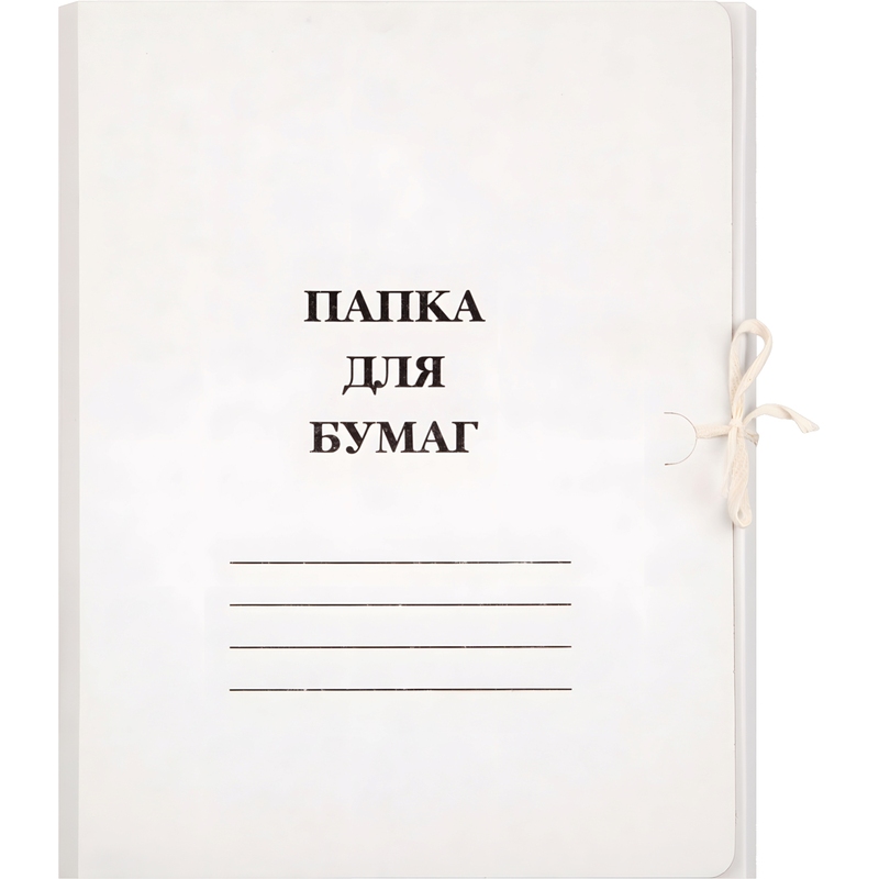 Изображение товара Папка для бумаг с завязками (320 г/кв.м, немелованная)