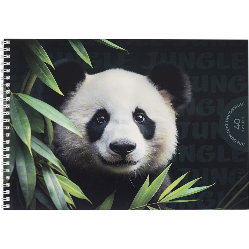 Изображение товара Альбом для рисования Комус Класс Дикие животные А4 40 листов с спиралью