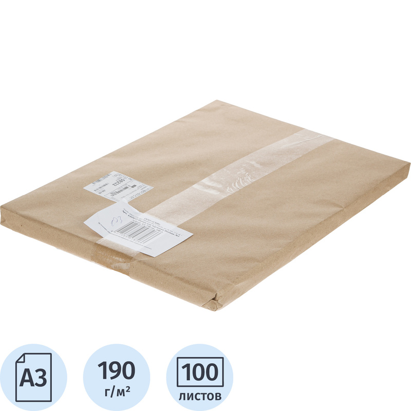 Изображение товара Ватман бумага чертежная Выбор есть А3 100 листов, размер 29.7x42 cм, 190 г/кв.м, белизна 100