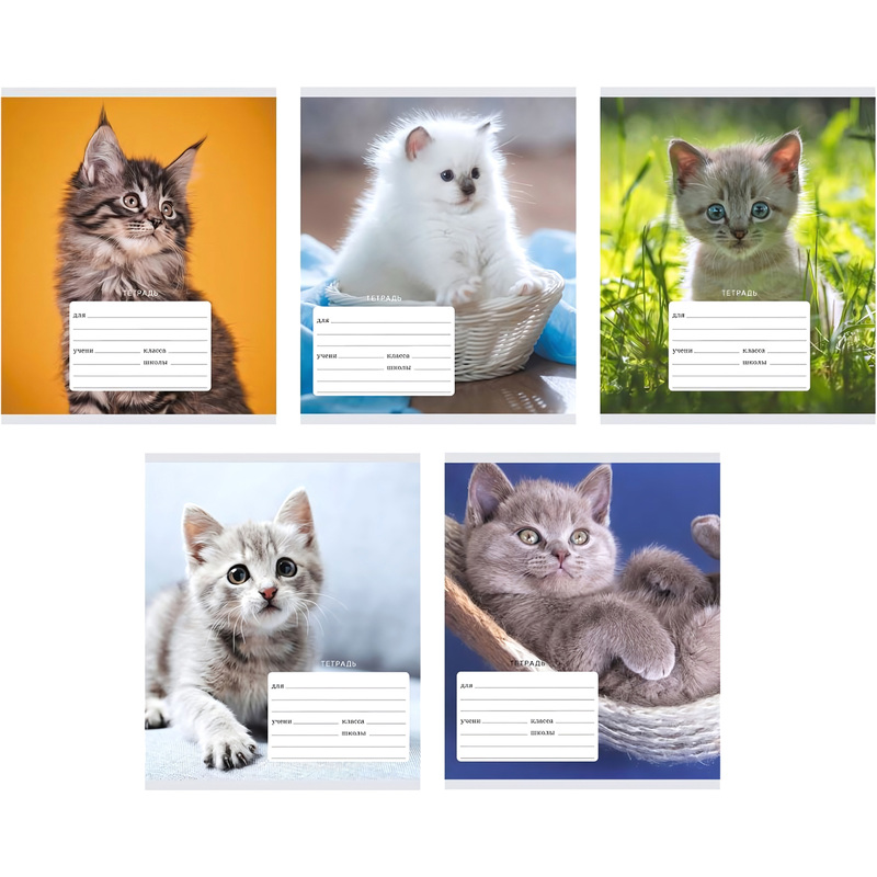 Изображение товара Тетрадь школьная Канц-Эксмо Котята А5 12 листов линейка (5 штук в упаковке)