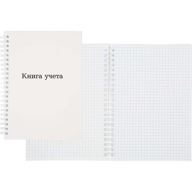 Изображение товара Книга учета А5 96 листов в клетку спираль мелованный картон Россия