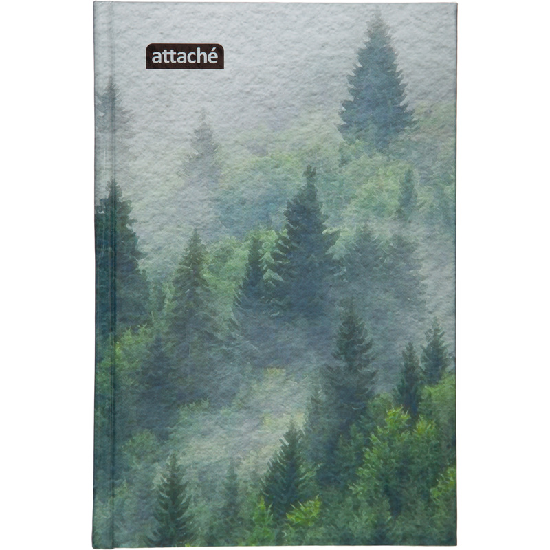 Изображение товара Бизнес-тетрадь Attache Economy Forest A5 120 листов в клетку