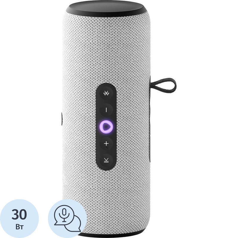 Изображение товара Умная колонка Яндекс Станция Стрит серая YNDX-00030GRY