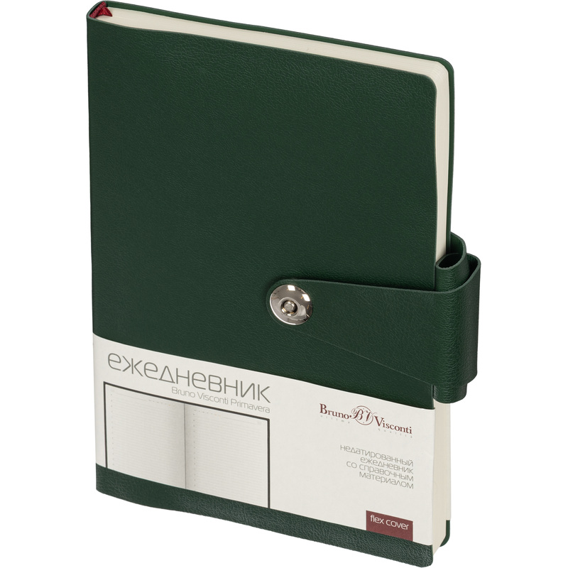Изображение товара Ежедневник недатированный Bruno Visconti Primavera А5 из искусственной кожи зелёный