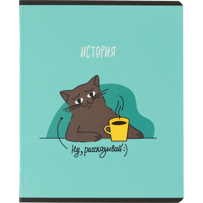 Изображение товара Комус Класс Котики А5 48 листов тетрадь история клетка 60г мягкая обложка