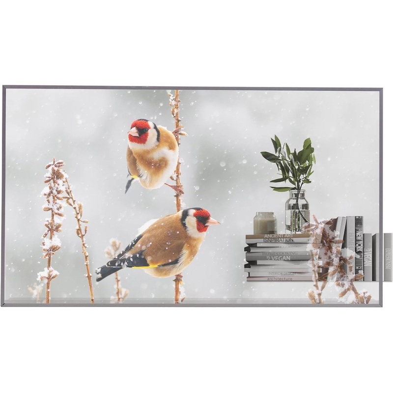 Изображение товара ЖК-панель LG 55EW5P-M