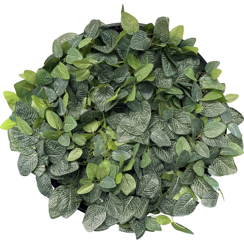 Изображение товара Композиция Сетка круглая 3 d 600 мм APC-20019/1 для вертикального сада интерьера