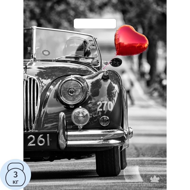 Изображение товара Пакет подарочный Тикопластик Раритет (40x31x5 см)