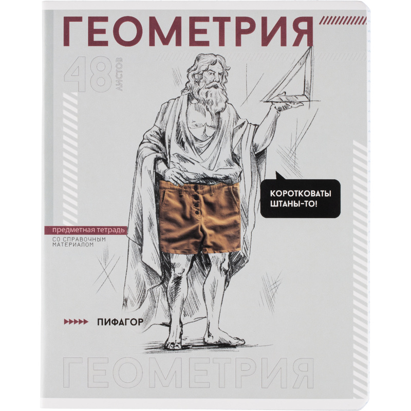 Изображение товара Тетрадь предметная по геометрии Феникс+ А5 48 листов с рисунком, глянцевая обложка