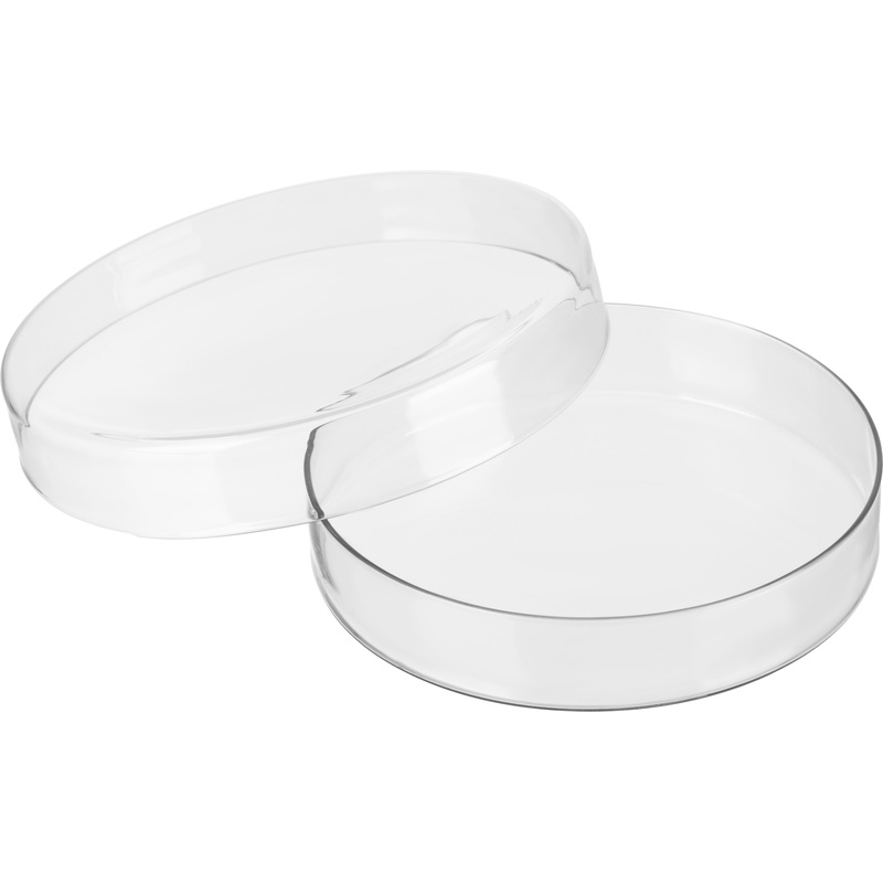 Изображение товара Чашка Петри Apexlab 100x20 мм стекло, 10 штук в упаковке для бактериологических исследований