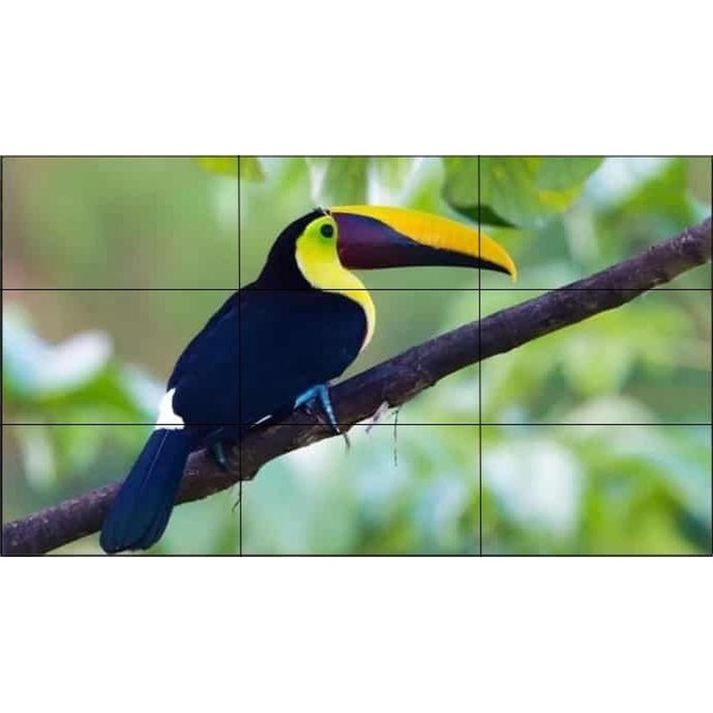 Изображение товара Панель для видеостен 55" Exell EXPD-WA55AB05