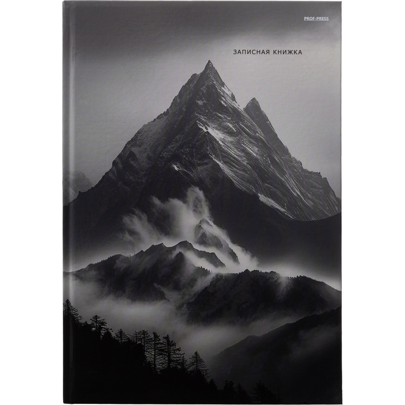 Изображение товара Записная книжка Проф-пресс Горы в тумане А4 разноцветная 96 листов в клетку