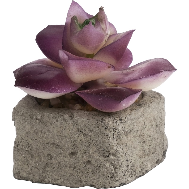 Изображение товара Растение искусственное в кашпо Magic Home Розовый 8 см