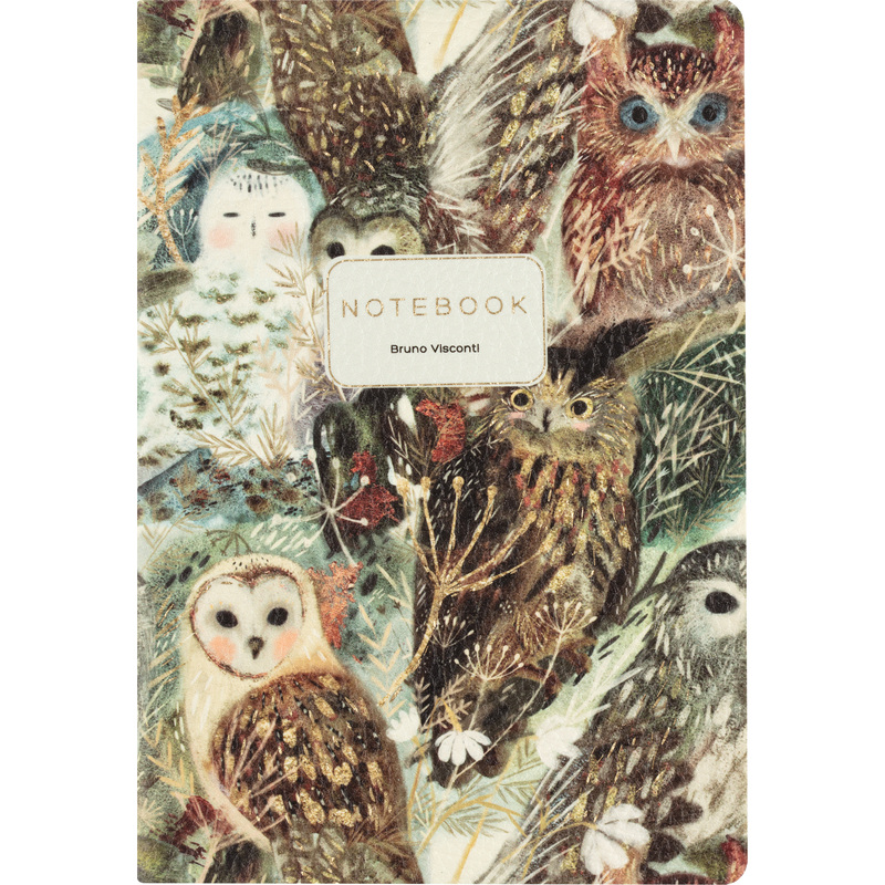 Изображение товара Тетрадь Bruno Visconti Волшебные совы А5 60 листов мягкая обложка