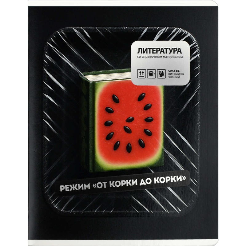Изображение товара Тетрадь предметная по литературе Феникс+ Фразы с характером А5+ 48 листов в линейку TWIN лак
