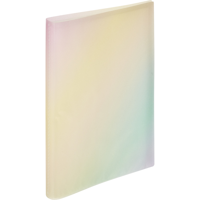 Изображение товара Папка файловая Attache Selection Rainbow А4 на 40 файлов