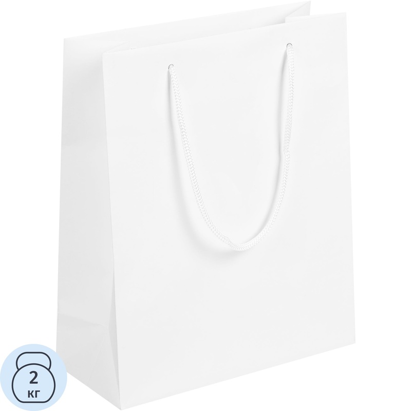 Изображение товара Подарочный пакет Проект 111 Vid M 28x23x10 см белый бумага