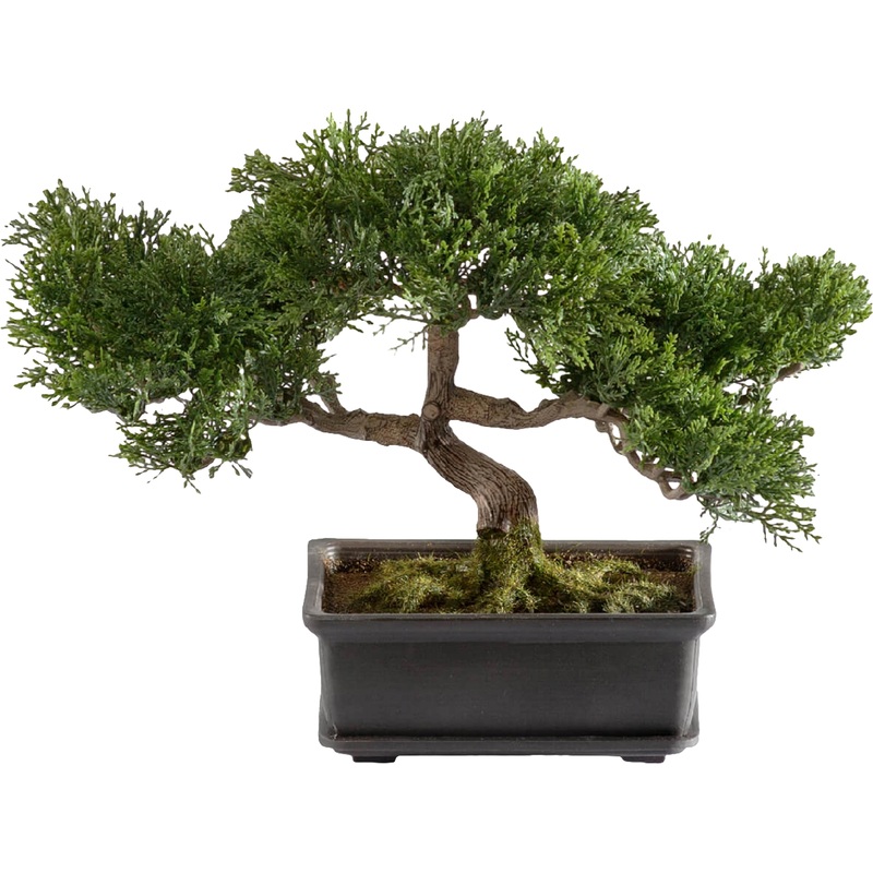 Изображение товара Искусственное дерево в кашпо Tropic House Бонсай Сосна-мини 22 см