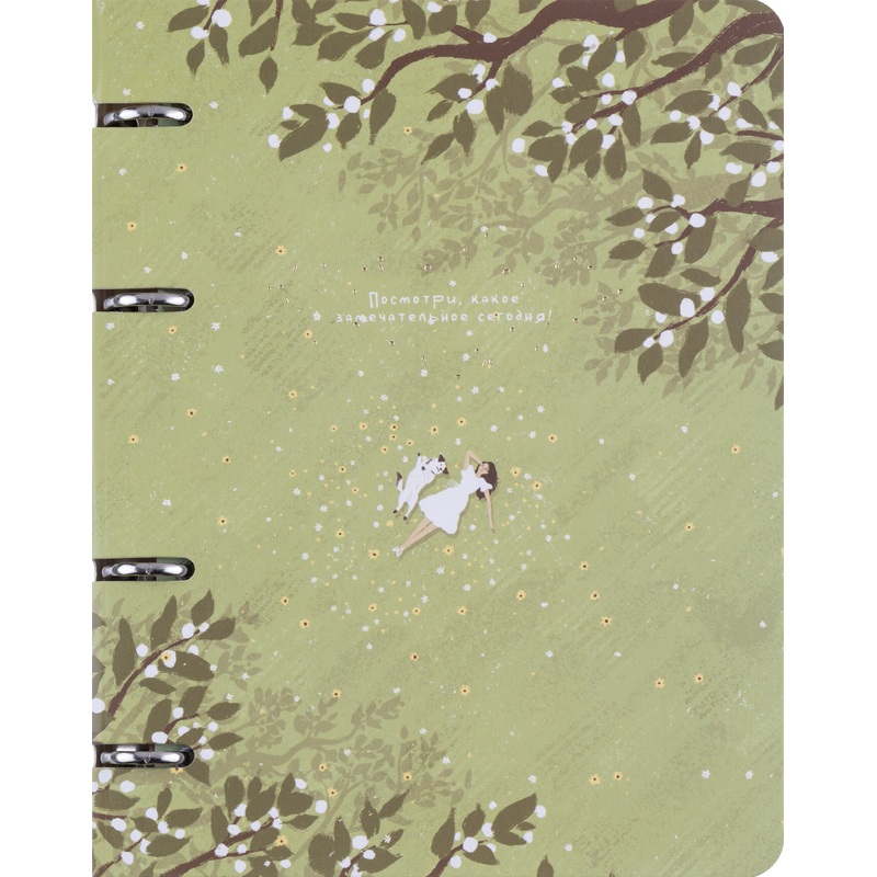 Изображение товара Тетрадь на кольцах со сменным блоком Be Smart Soul А5 120 листов с рисунком в клетку с перфорацией, матовая ламинация