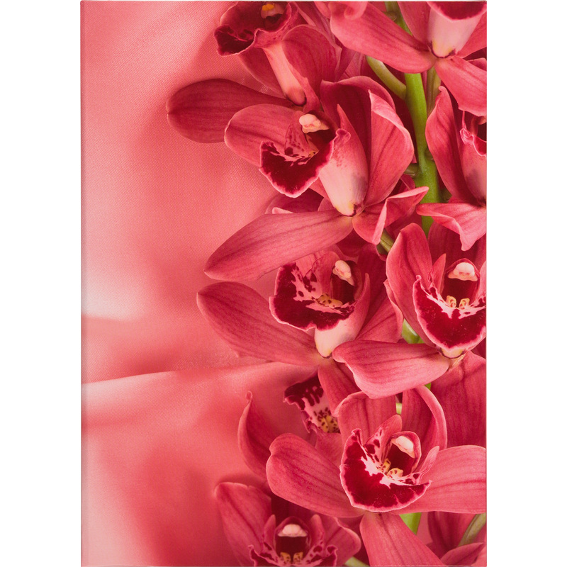 Изображение товара Папка адресная Цветы А4 разноцветная