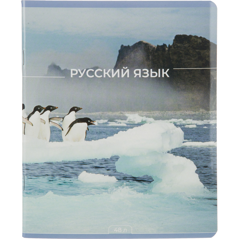 Изображение товара Тетрадь предметная по русскому языку Комус Класс Мир Знаний А5 48 листов с рисунком в линейку, глянцевая ламинация