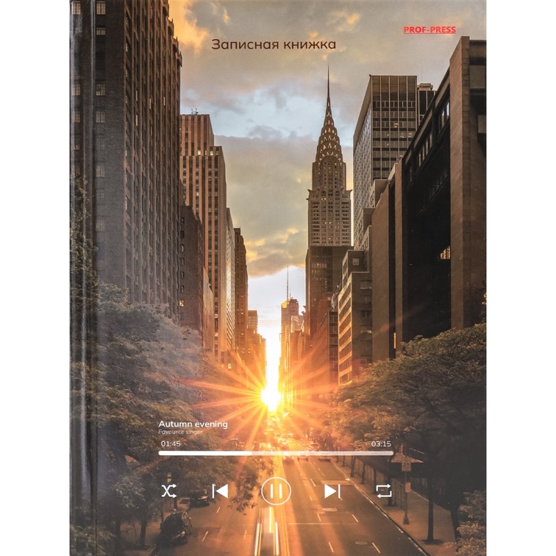 Изображение товара Записная книжка Проф-пресс Городской плейлист А5 разноцветная 80 листов в клетку